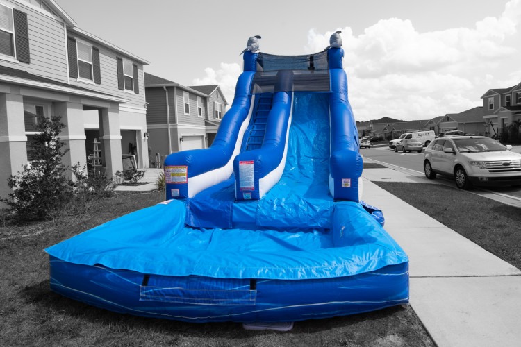 20' Dolphin Water Slide